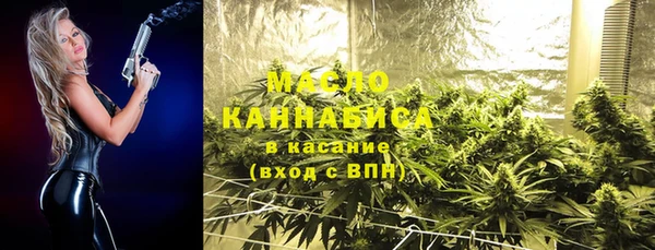 индика Наволоки