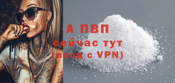 индика Наволоки
