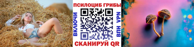 Галлюциногенные грибы Cubensis  магазин продажи наркотиков  Ханты-Мансийск 