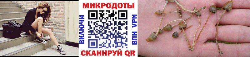 Псилоцибиновые грибы ЛСД Ханты-Мансийск